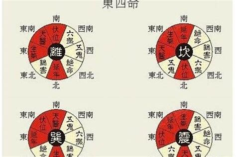 离卦 东四命|东四命是什么意思